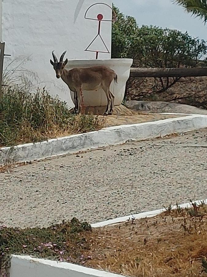 Horizonte Azul Apartman Almería Kültér fotó